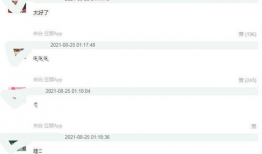 吃瓜爆料 论坛官网入口,一窥网络舆论风向标