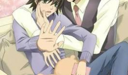 bl动漫网,探索耽美世界的奇幻之旅